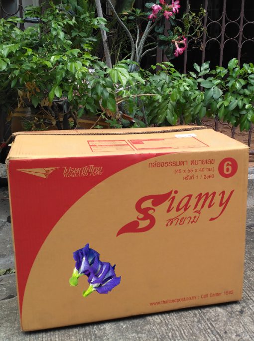 Blue Pea wholesale Siamy