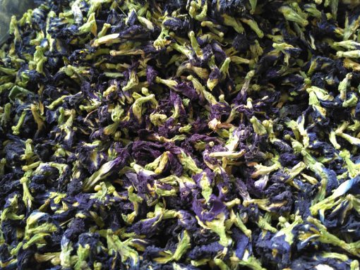 Blue Pea wholesale Siamy