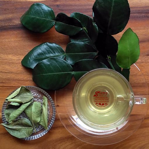 kaffir lime leaves Siamy