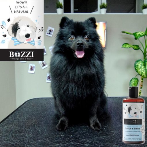 Natural dog shampoo Color&Shine BOZZI