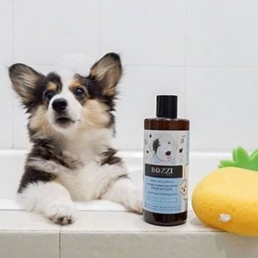 Natural dog shampoo Color&Shine BOZZI