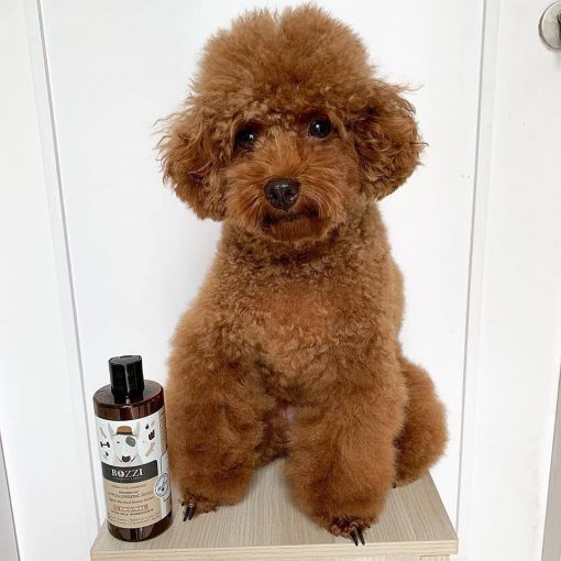 Natural hypoallergenic dog shampoo Original BOZZI