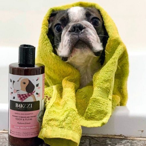 Natural dog shampoo Skin Nourishing | BOZZI