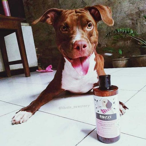 Natural dog shampoo Skin Nourishing | BOZZI
