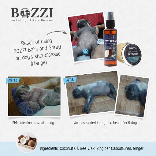 Natural healing pet spray BOZZI