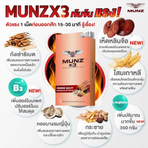 MUNZ X3