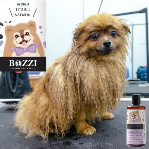 Шампунь для собак Fur Nourishing BOZZI