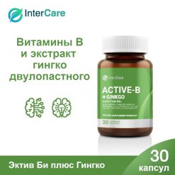 Active-B+GINKGO