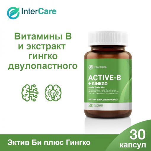 Active-B+GINKGO