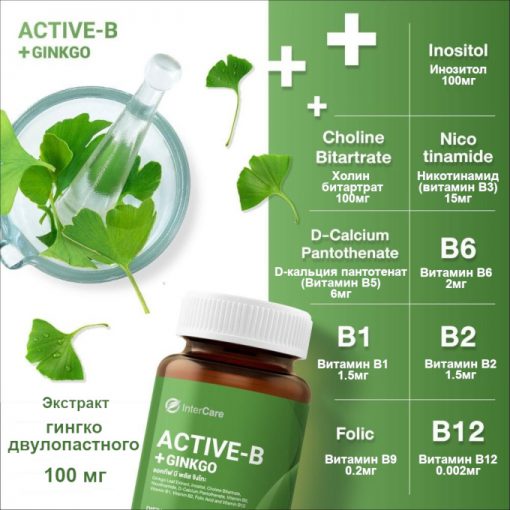 Active-B+GINKGO