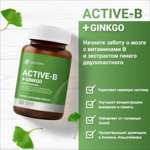 Active-B+GINKGO