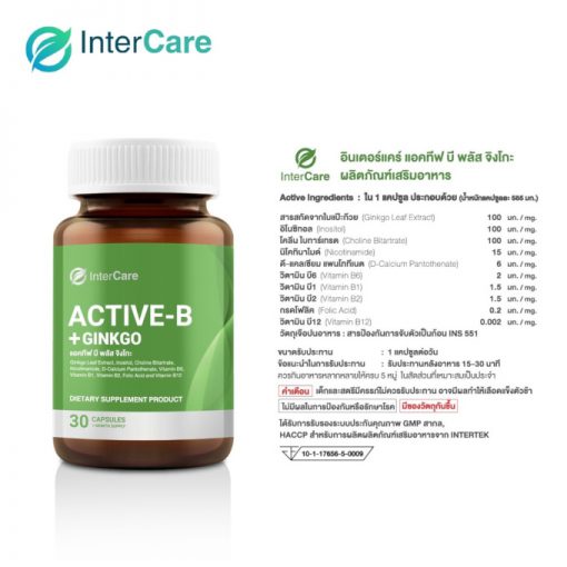 Active-B+GINKGO